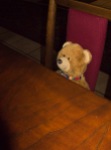 Mr Teddy waiting for food