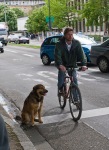 Man, Bike and Dog, Freiburg, Germany